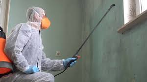 Why You Should Choose Our Mold Remediation Services in Saltillo, MS